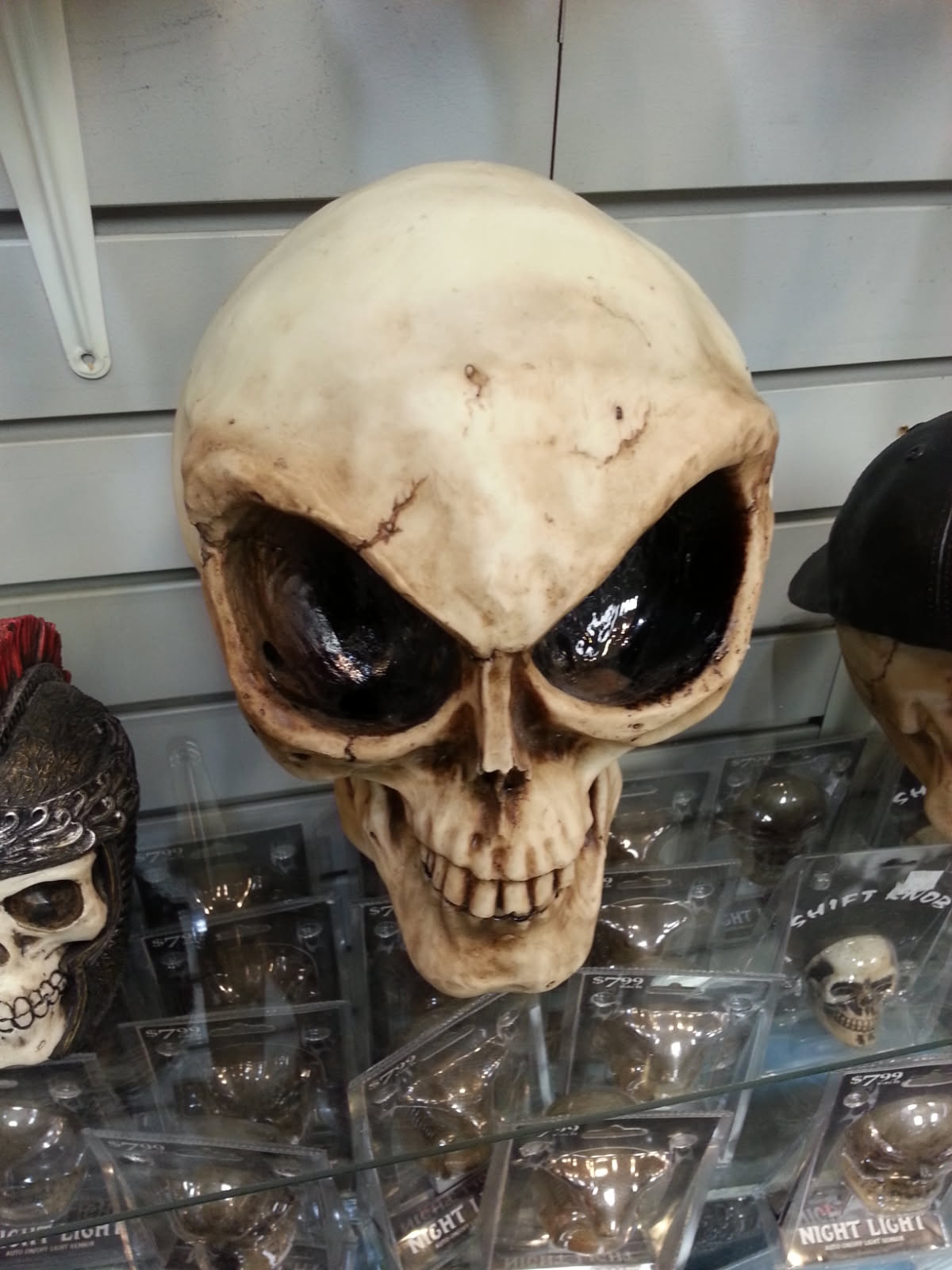 Novelty alien skull with oversized black eye sockets on a shelf above skull night lights and shift knobs